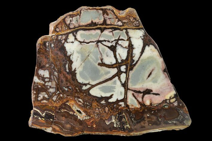 Polished Outback Jasper - Western Australia #137081